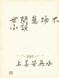 世间万物不及你小说