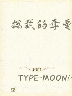 总裁的夺爱游戏