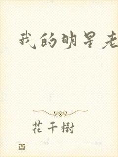 我的明星老豆