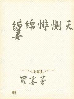 缠绵悱恻天价前妻