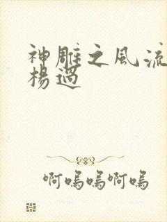 神雕之风流浪子杨过