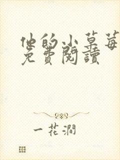 他的小草莓全文免费阅读