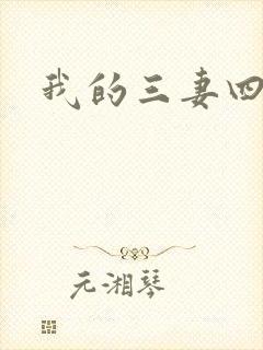 我的三妻四妾