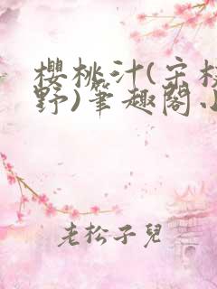 樱桃汁(宋枝江野)笔趣阁小说