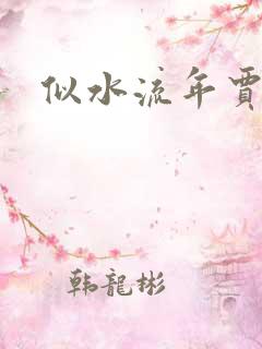 似水流年贾二虎