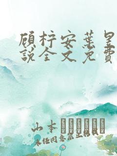 顾柠安叶昱城小说全文免费阅读