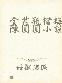 金花瓶楷梅花2陈圆圆小说