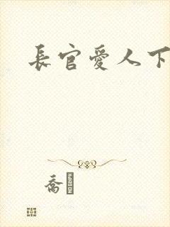 长官爱人下载