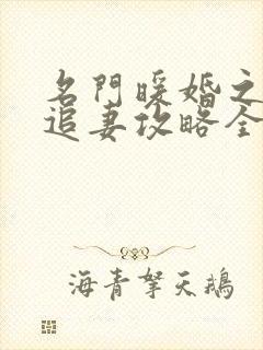 名门暖婚之权爷追妻攻略全文免费阅读