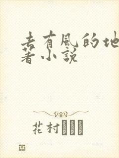 去有风的地方原著小说