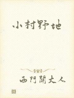 小村野地