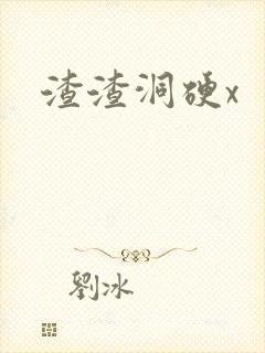 渣渣洞硬x
