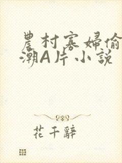 农村寡妇偷人高潮A片小说