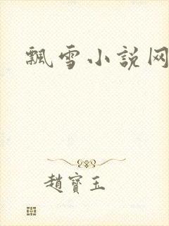 飘雪小说网