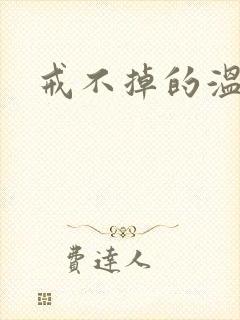 戒不掉的温柔