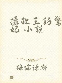 摄政王的惊世嫡妃 小说