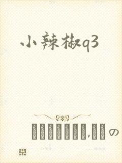 小辣椒q3