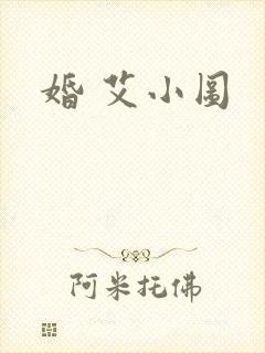 婚 艾小图