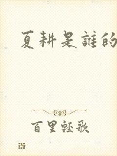 夏耕是谁的女婿