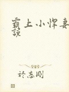 霸上小悍妻 小说