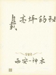 月亮坪的秘密下载