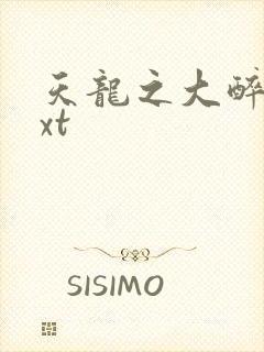 天龙之大醉侠txt