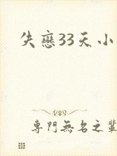 失恋33天小说
