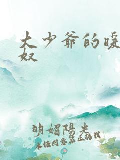 大少爷的暖床小奴