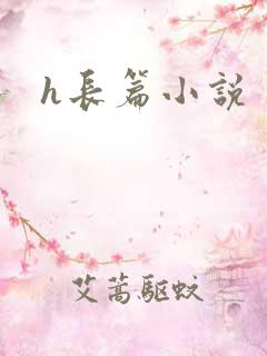 h长篇小说
