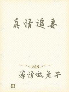 真情追妻