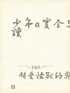 少年a宾全集阅读