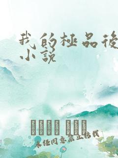 我的极品后宫 小说