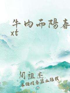 牛肉面阳春面txt