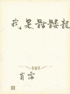 我是骷髅龙骑兵