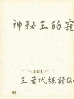 神秘王的宠姬