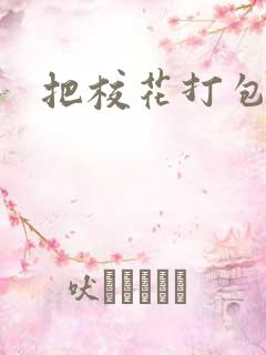 把校花打包带走