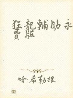 狂龙辅助永久免费版