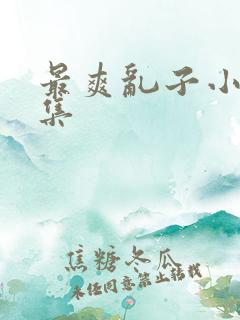 最爽乱子小说合集