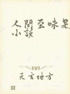 人间至味是清欢小说