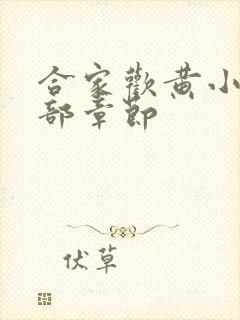 合家欢黄小梅全部章节