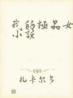 我的极品女老师小说