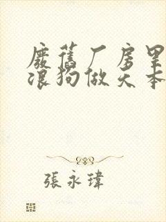 废旧厂房里和流浪狗做天本