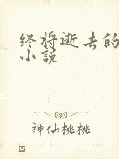 终将逝去的青春小说