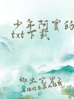 少年阿宾的故事txt下载