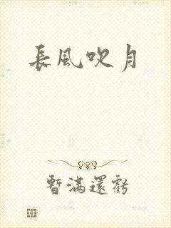 长风吹月