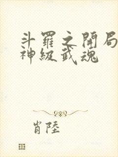 斗罗之开局签到神级武魂