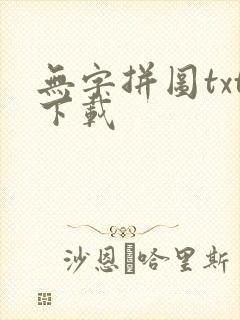 无字拼图txt下载