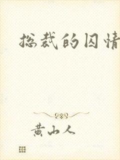 总裁的囚情前妻