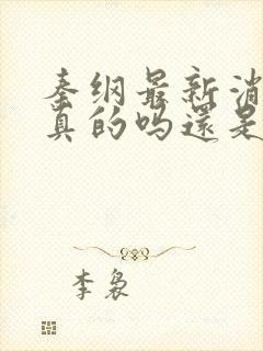 秦纲最新消息是真的吗还是假的