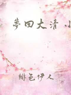 梦回大清 小说